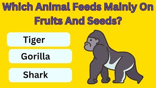 Food Of Animals For Class 1 Part 2  Learning Video for Kids  Educational Video [upl. by Notla]