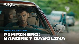 Pimpinero Sangre y Gasolina  Tráiler Oficial I Prime Video [upl. by Zehe727]