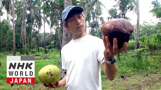 Coconut Entrepreneur Tackling Poverty Mizui Yu  FRONTRUNNERS [upl. by Brigitte]