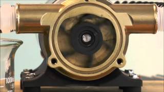 How a Jabsco Flexible Impeller Pump Works [upl. by Grani]