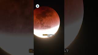 ¡No te pierdas el espectacular eclipse lunar de septiembre 2024 en México  Reporte Indigo [upl. by Hogg234]