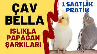 ISLIKLA ÇAV BELLA 1 SAAT  ISLIKLA PAPAĞAN ŞARKILARI  ISLIKLA BELLA CIAO [upl. by Acebber473]