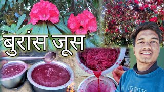 बुरांश जूस  Buransh juice How To Make Buransh Juice  buransh  Ankushdabralvlog [upl. by Yddeg]