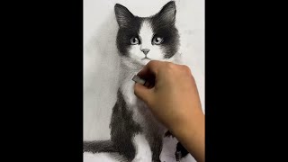 ANIMAL PORTRAIT  CAT PORTRAIT  DRAWING  SKETCH  РИСУНОК  МИЛЫЙ РИСУНОК  КОТИК shorts [upl. by Ennayoj]