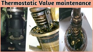 How to maintenance the Thermostatic Valve ।। Air Compressor Thermostatic Valve maintenance [upl. by Teplitz]