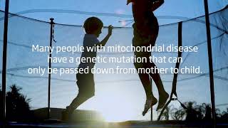 Abliva  Mitochondrial disease inheritance [upl. by Aeriel]