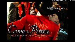 Como Perros  Ariel Camacho y Los Plebes Del Rancho 2016 [upl. by Amairam53]