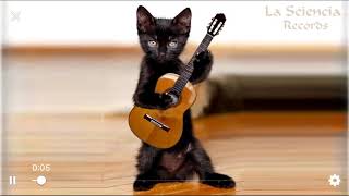 Gatinho cantando [upl. by Darda123]