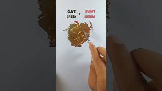 Olive green vs Burnt sienna Color mixing 👌 colormixing colortheory  colortherapy color asmr [upl. by Enisaj]