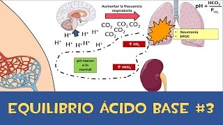 Equilibrio ácido base 3 💉 Amortiguador respiratorio y renal [upl. by Tyra]