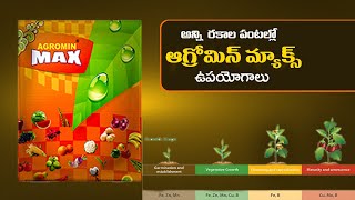 Aries Agromin Max  Micronutrient Fertilizer for high Yielding  Agriculture  Tips to farmers [upl. by Ehling940]