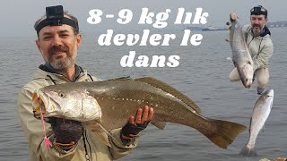 İzmir de dev balıklar Körfezin devleri granyoz ler jewfish [upl. by Aramoix]