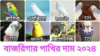 বাজরিগার পাখির দাম 2024  পাখি পালন  Budgerigar Bird price In Bangladesh 2024  সৌখিনতার তথ্য [upl. by Somisareg634]