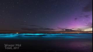 Noorderlicht en Zeevonk Timelapse  Texel Netherlands [upl. by Initirb491]