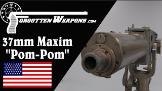 Maxim PomPom 37mm Machine Gun [upl. by Clie75]