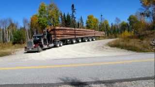 Peterbilt 359 Classic big smoke Logging [upl. by Ennaeilsel]