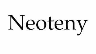 How to Pronounce Neoteny [upl. by Jaclin]