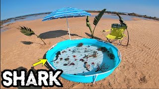 DIY Saltwater Fish Pond At The Beach With A Shark [upl. by Benn811]