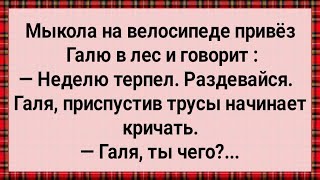 Как Мыкола в Лес Галю Возил Сборник Свежих Анекдотов Юмор [upl. by Messab302]