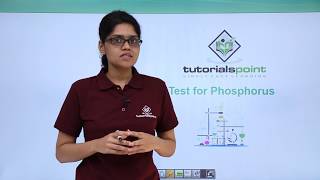 Class 11th – Qualitative Analysis  Test for Phosphorus  Organic Chemistry  Tutorials Point [upl. by Florella70]