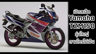 เปิดสเป็ค Yamaha TZM150 quotรุ่นใหญ่ ตามใครไม่เป็นquot [upl. by Angelle743]