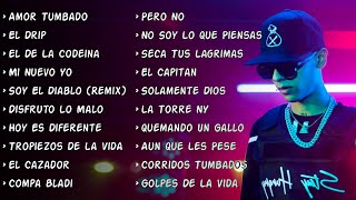 Corridos Mix 2020  Natanael Cano Mix  Top 20  Amor Tumbado El Drip Mi Nuevo Yo Pero No Y Mas [upl. by Annice]