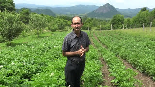 Fertilizarea și îngrășămintele naturale [upl. by Adis]