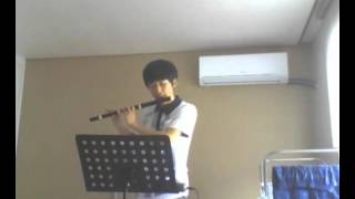 GP Telemann Fantasia for Flute solo No1  Allegro practice [upl. by Arodasi855]