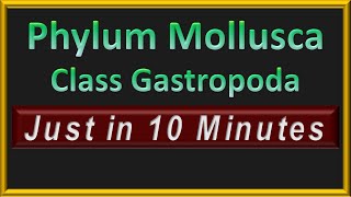 Phylum Molllusca  Class Gastropoda  In 10 Minutes [upl. by Klein]