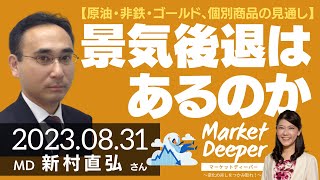 【原油・非鉄・ゴールド、個別商品の見通し】景気後退はあるのか（新村直弘さん） マーケットディーパー [upl. by Haldane264]