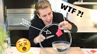 Ich teste MAGISCHES PLASTIK das die Form verändert 😱😵  Julienco [upl. by Livvie]