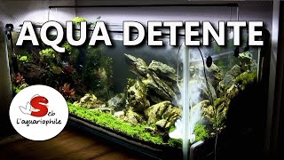 Aquarium détente  Aquarium aquascaping ✔ [upl. by Kcirddor]