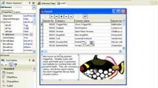 Delphi Programming Tutorial 24  DBGrid OnDrawColumnCell [upl. by Kedezihclem]