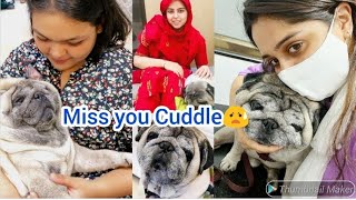 Last Memories Of Cuddle  Rest In Peace Cuddle  Ibrahim family Vlog [upl. by Rebecka916]