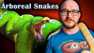 Top 5 Arboreal Snakes That Make GREAT Pets [upl. by Vine769]