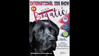 11th International Dog Show CACIB Bogatić Serbia March 30 2024 [upl. by Trude]