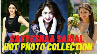 SAYYESHAA SAIGAL HOT PHOTO COLLECTION  BOLD PHOTOS  celebrityviralshort sayyesha trending [upl. by Aiker]