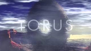 Sub Focus Torus [upl. by Oznofla243]