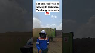 Sebuah Aktifitas Stockpile Batubara Tambang Indonesia 🇮🇩 batubarakalimantan tambangbatubara [upl. by Bevers]