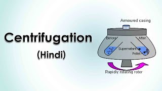 Centrifugation 12 Hindi [upl. by Sert]