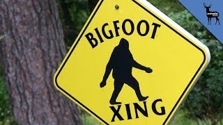 BIGFOOT IS REAL [upl. by Sculley]