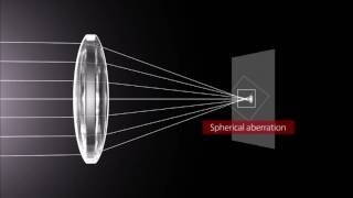 How Lenses Function [upl. by Paugh]