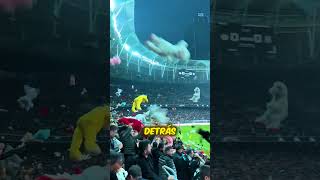 Hinchas ¡Llueven ositos de peluche al terreno de juego 😳👏 [upl. by Judith]