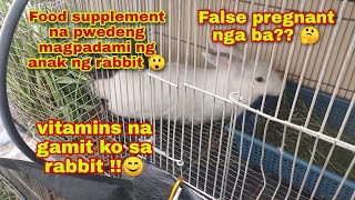 False pregnancy ba ang doe ko  Synedrella nodiflora leaves  multivitamins for rabbits [upl. by Idalla]