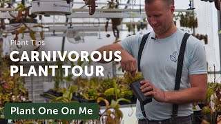 CARNIVOROUS PLANT Greenhouse Tour — Ep 245 [upl. by Beedon]