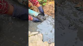 How to Unclog Blocked Pipes blockedpipe shorts video viralvideo shortvideos [upl. by Aninep]