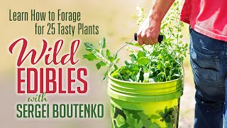 Wild Edibles with Sergei Boutenko  Learn How to Forage for 25 Tasty Plants [upl. by Jamal]