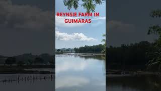 REYNSIE AQUAFARM IN GUIMARAS [upl. by Aleris]