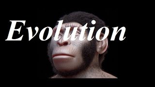 Journey of Evolution From Cavemen to Modern Humans [upl. by Kristy661]