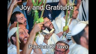 Joy and Gratitude  Parshat Ki Tavo [upl. by Salta]